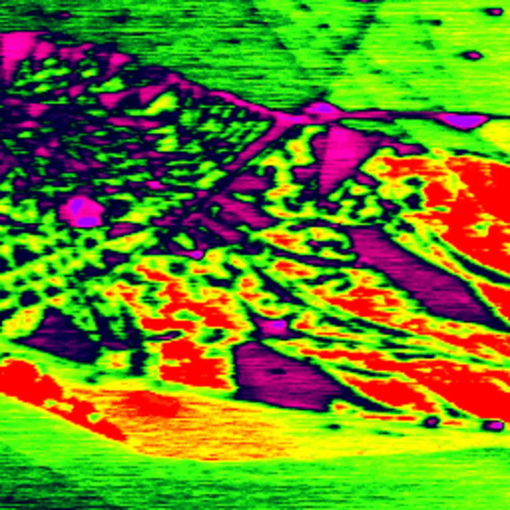二维材料的表面电势
