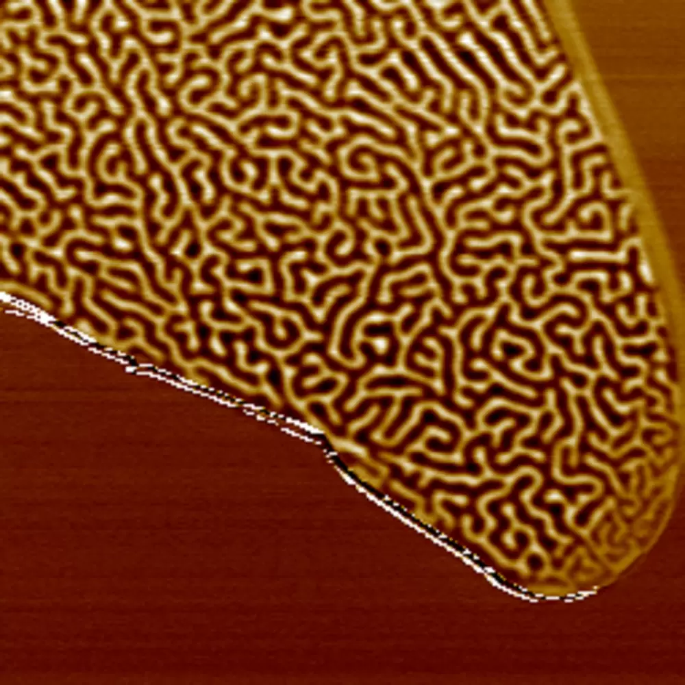 二维材料的磁畴