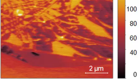 原子力显微镜（AFM）为二维材料研究与技术革新提供重要支撑