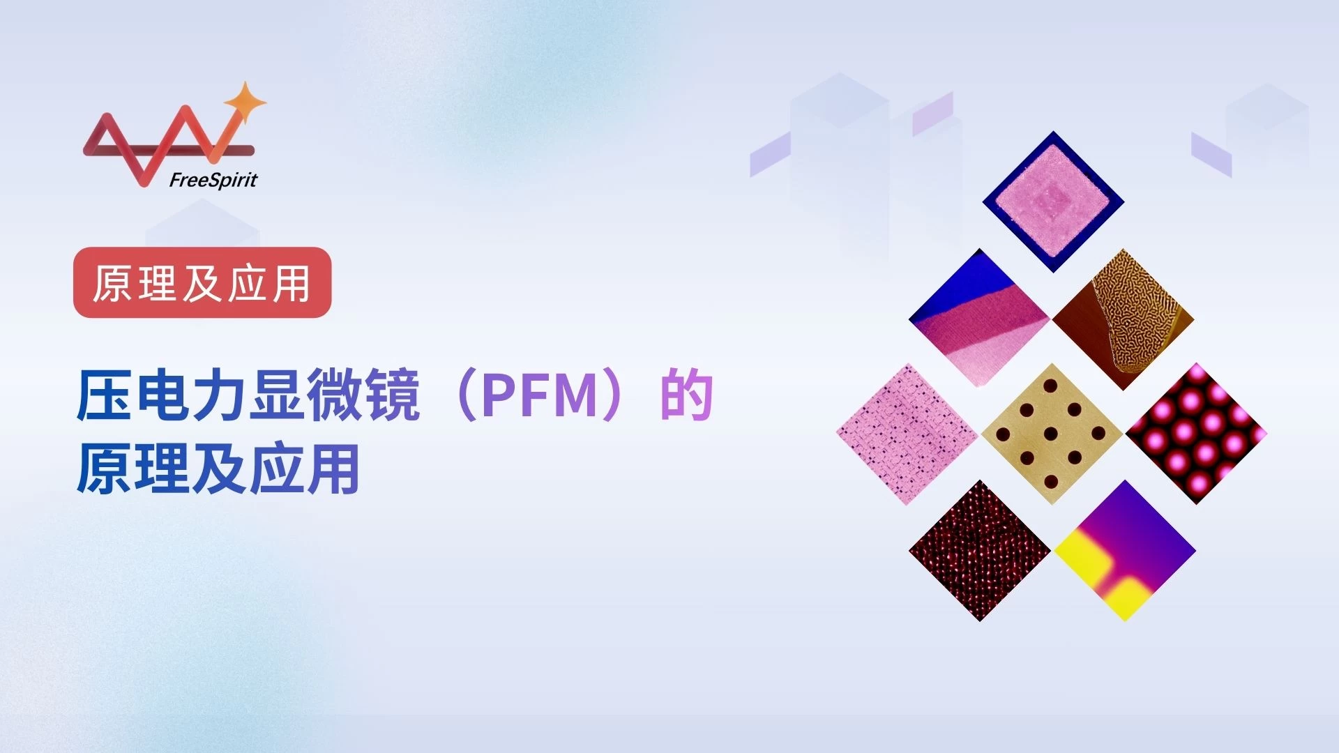压电力显微镜（PFM）的原理及应用