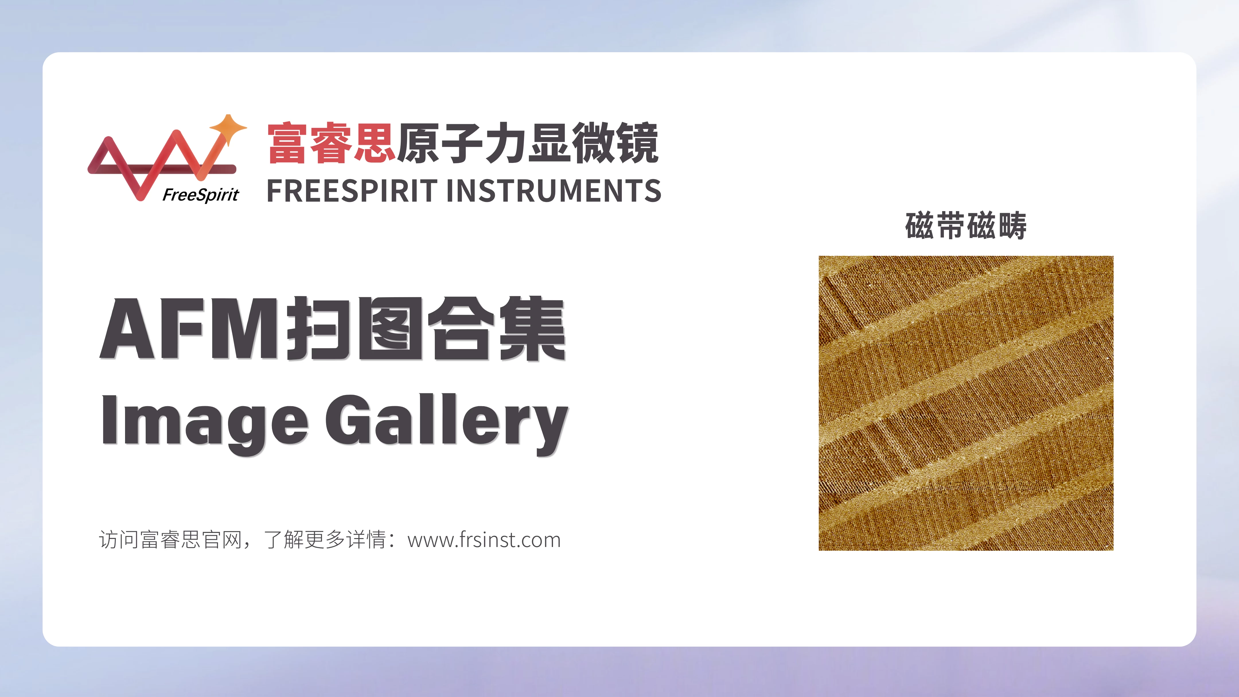 AFM扫图集丨看富睿思国产原子力显微镜如何精准捕捉磁畴分布