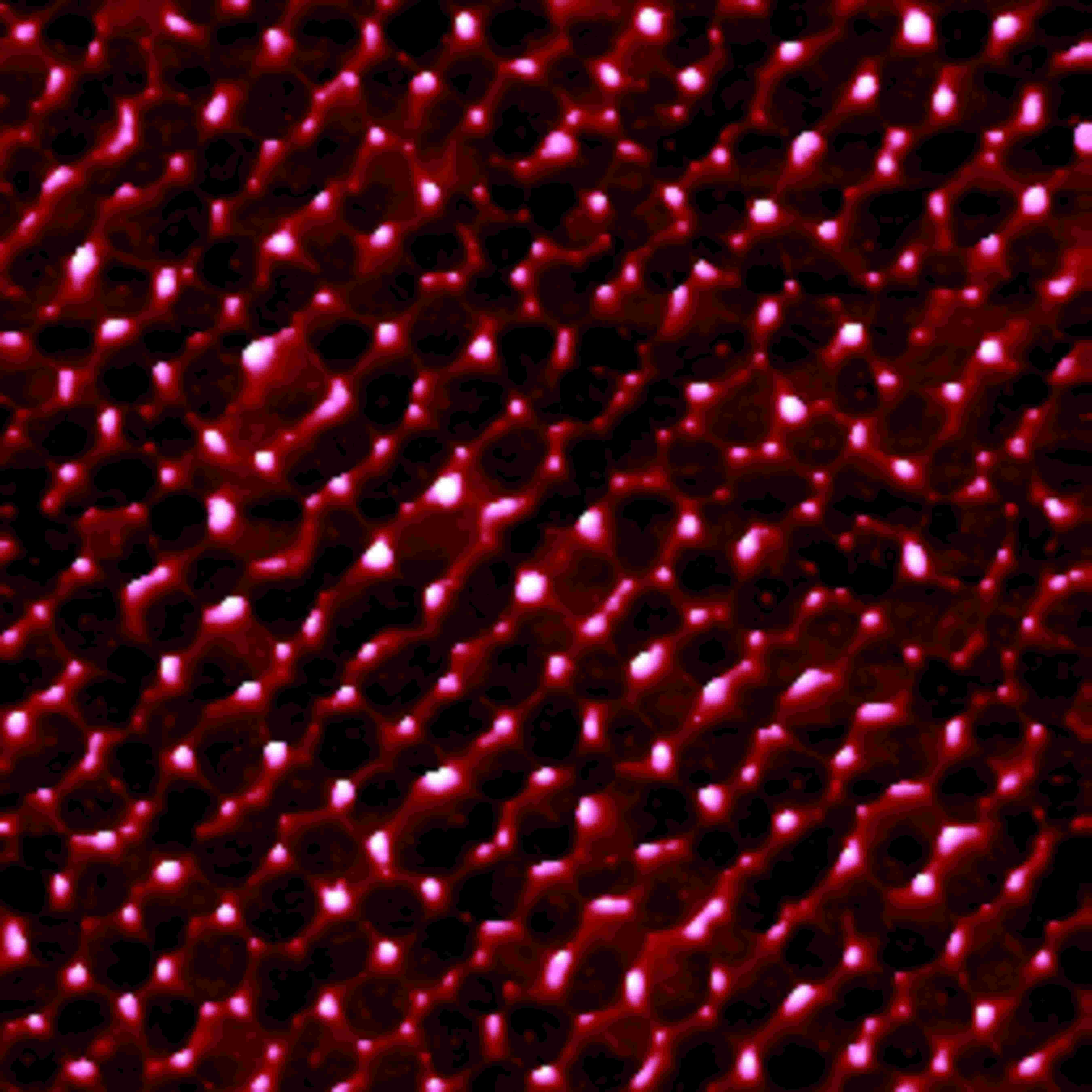[AFM] LTPS晶粒